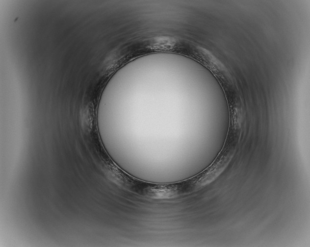 X0000116620370200912111201