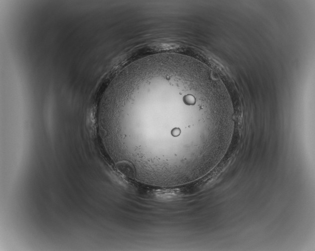 X0000116620373200912111201