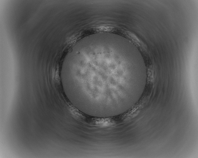 X0000116620377200912111201