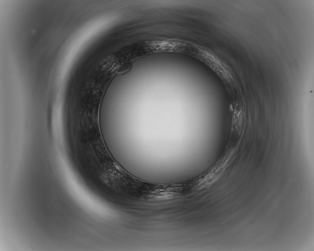 X0000116620381200912111201