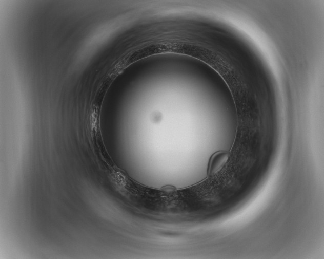 X0000116620382200912111201