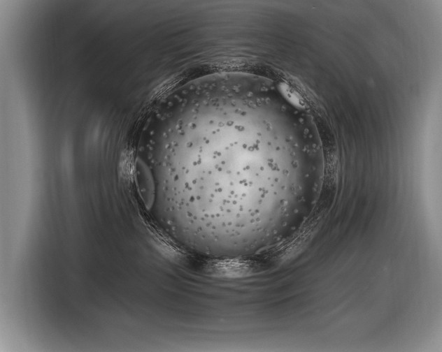 X0000116620383200912111201