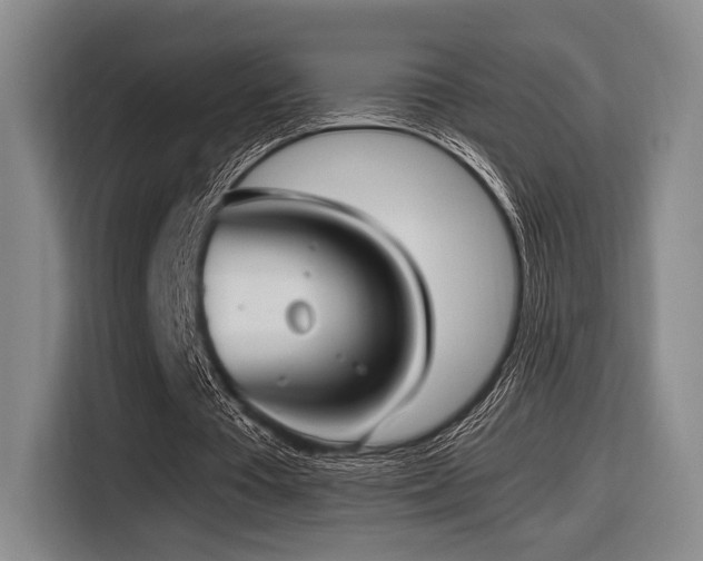 X0000116620385200912111201