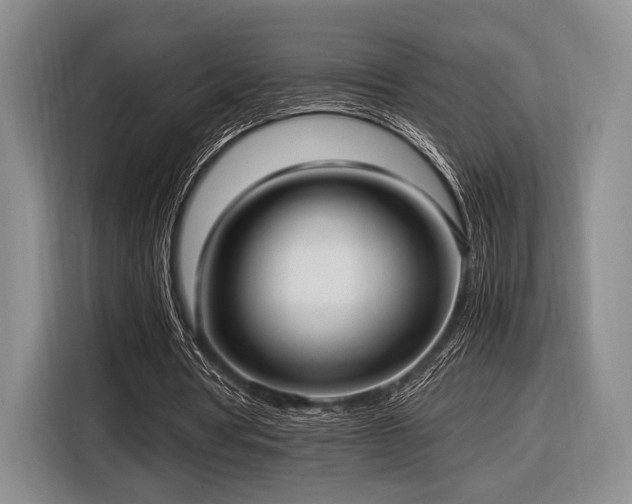 X0000116620386200912111200