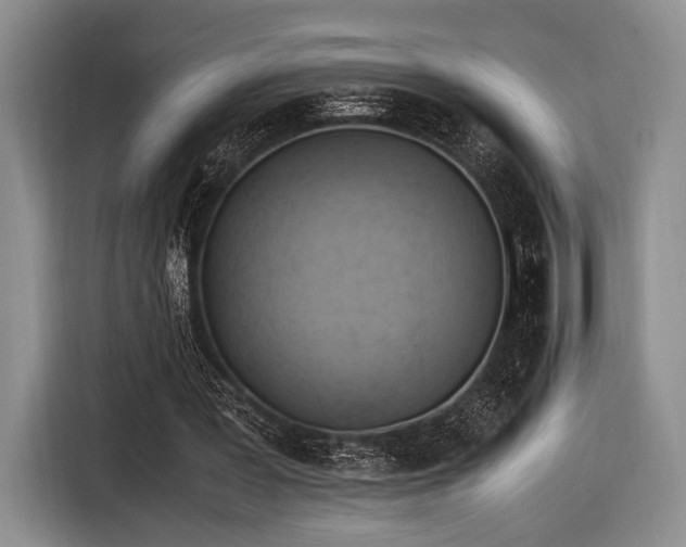 X0000116620387200912111200