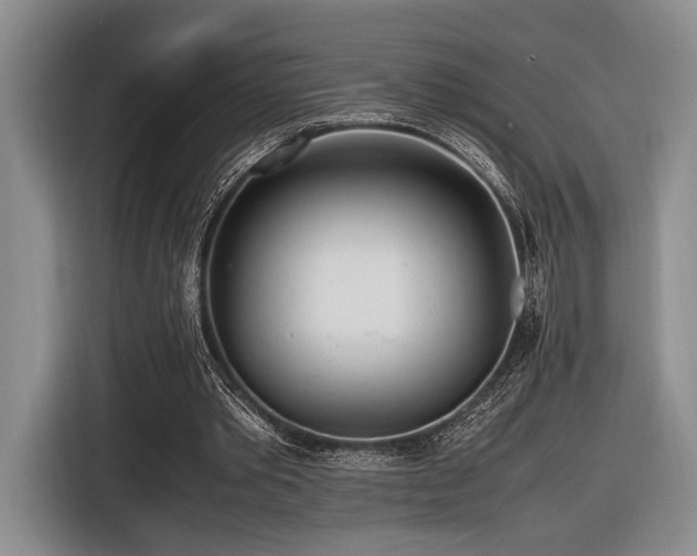 X0000116620389200912111200