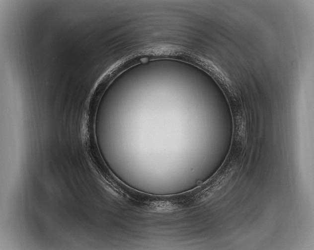 X0000116620392200912111200