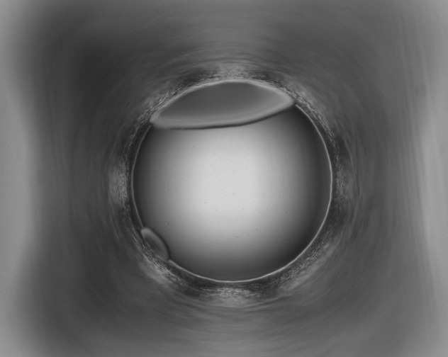 X0000116620393200912111200