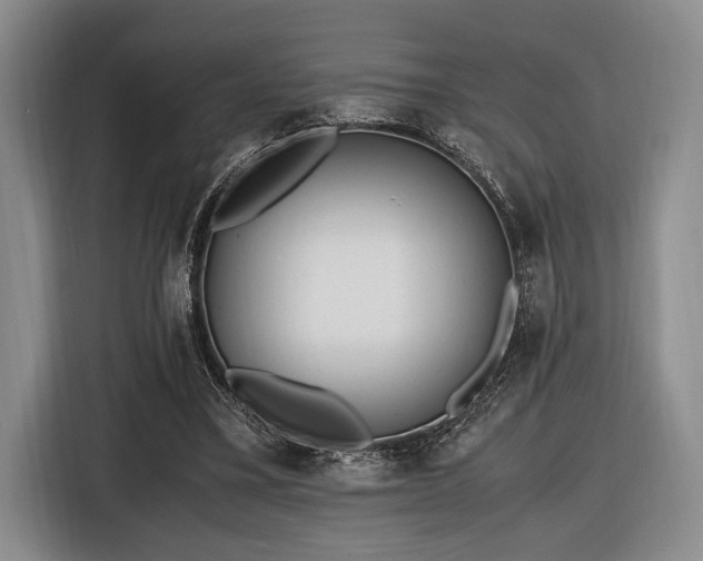 X0000116620395200912111200