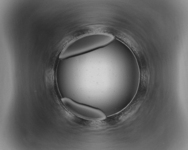 X0000116620397200912111200
