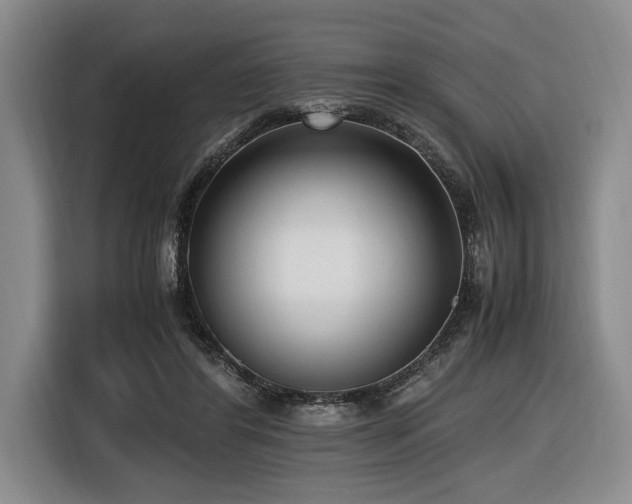 X0000116620404200912111200