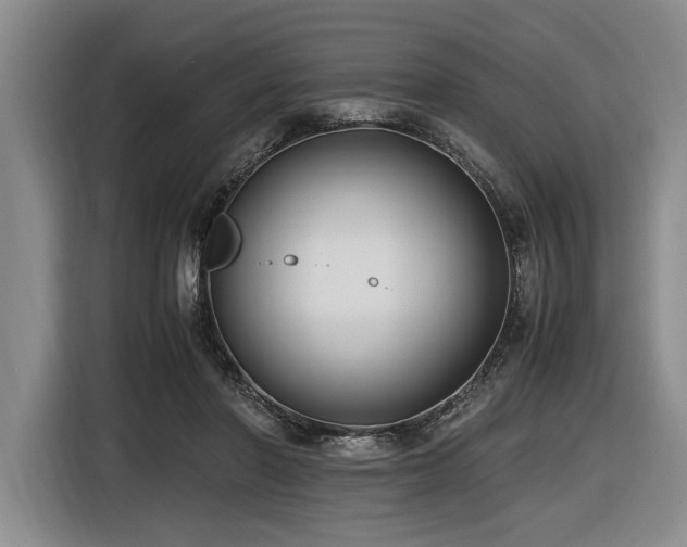 X0000116620406200912111200