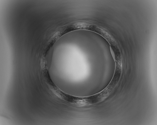 X0000116620411200912111200