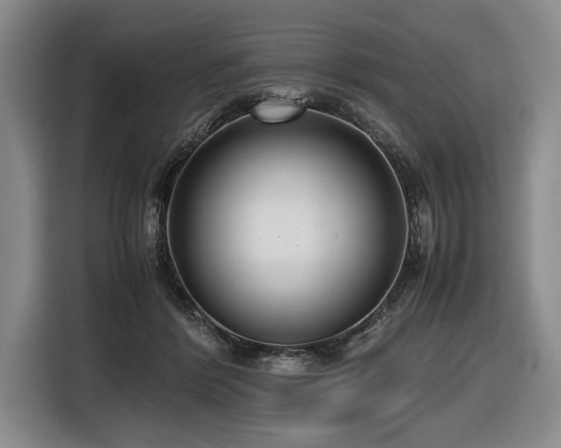 X0000116620412200912111200