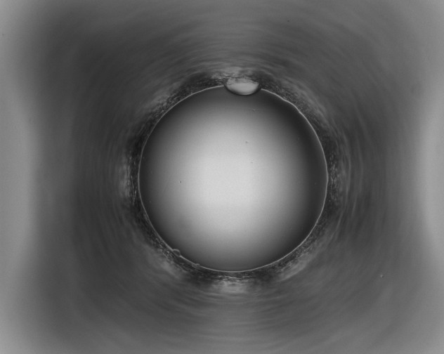 X0000116620416200912111200