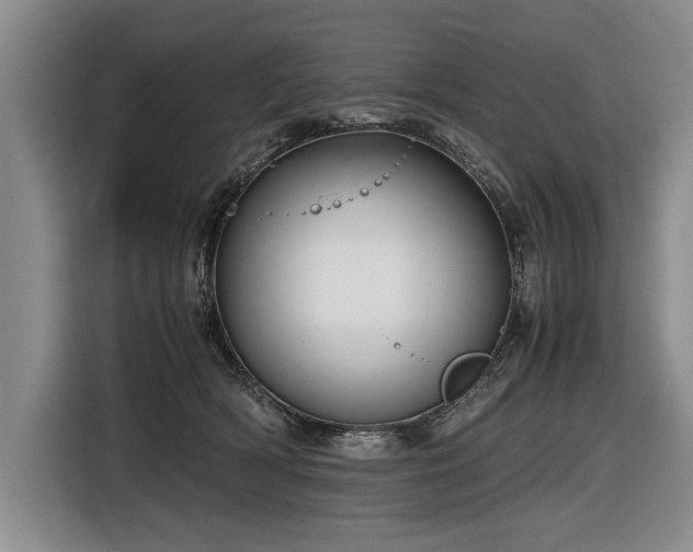 X0000116620418200912111200