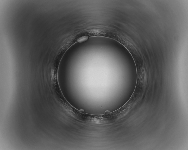 X0000116620420200912111200
