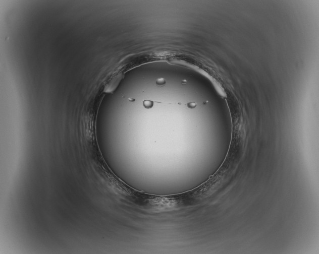 X0000116620421200912111200
