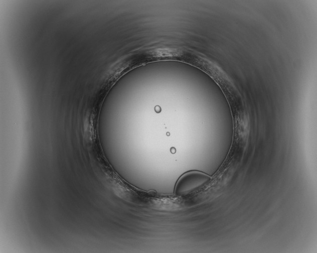 X0000116620422200912111200