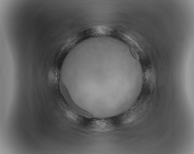 X0000116620423200912111200