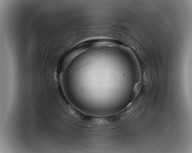 X0000116620424200912111200