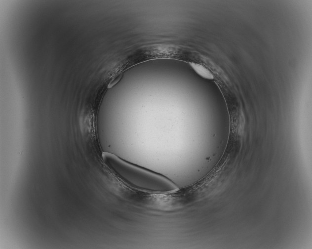 X0000116620425200912111200