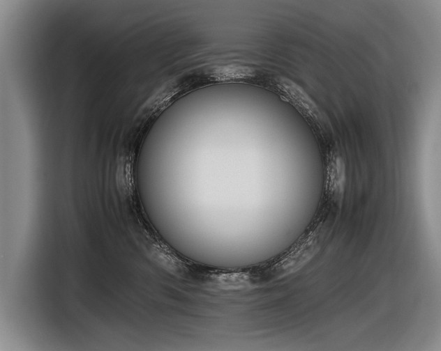 X0000116620426200912111200