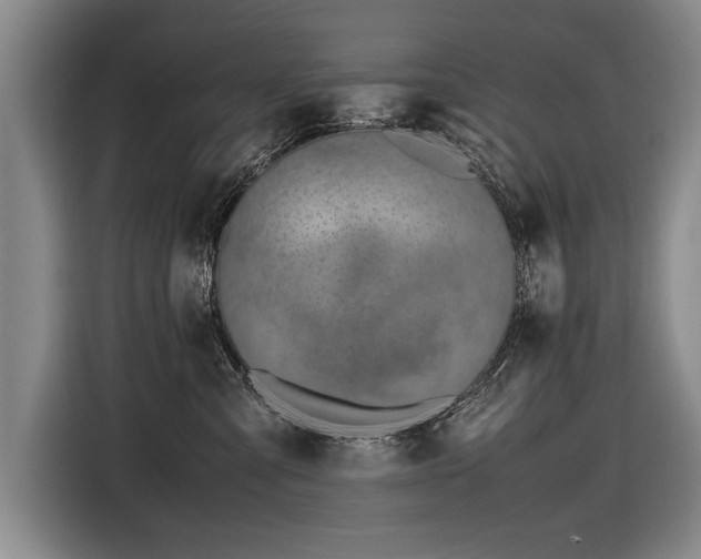 X0000116620427200912111200