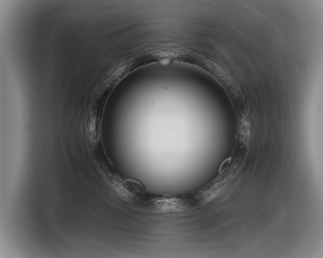 X0000116620428200912111200