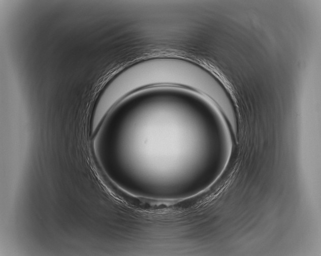 X0000116620433200912111159