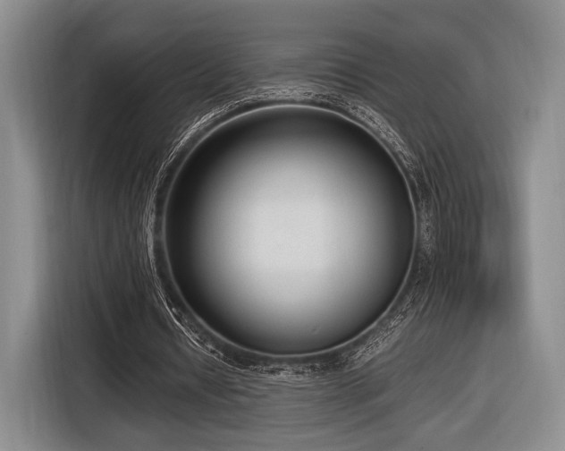 X0000116620434200912111159