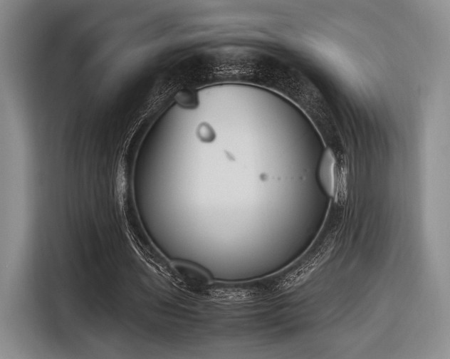 X0000116620435200912111159