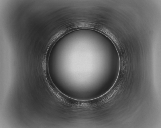 X0000116620437200912111159