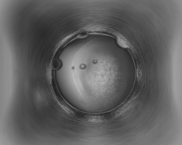 X0000116620438200912111159
