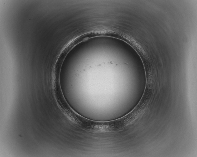 X0000116620440200912111159
