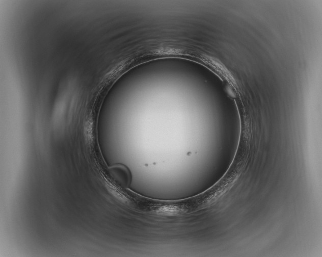 X0000116620441200912111159