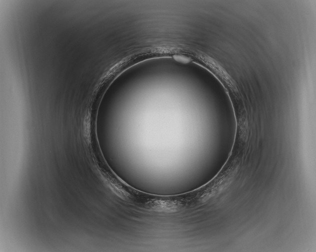 X0000116620442200912111159