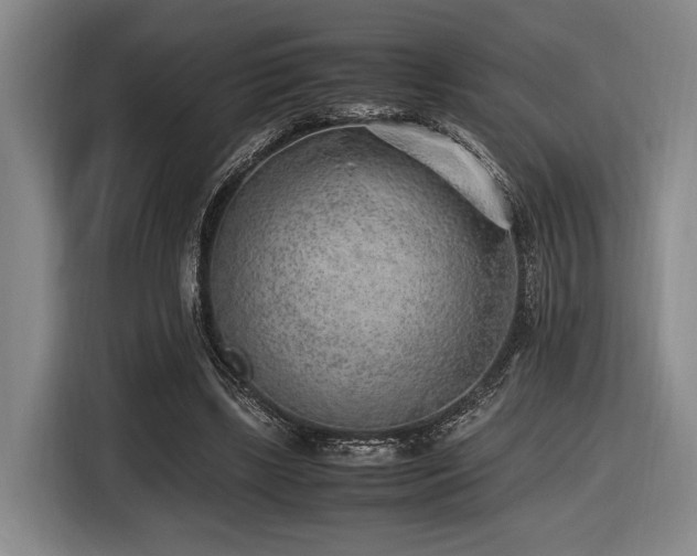 X0000116620443200912111159