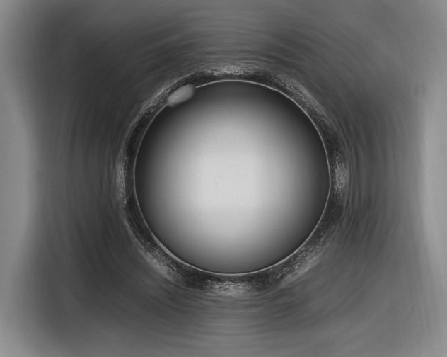 X0000116620444200912111159