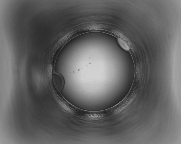 X0000116620445200912111159