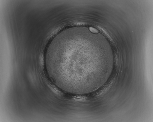 X0000116620447200912111159