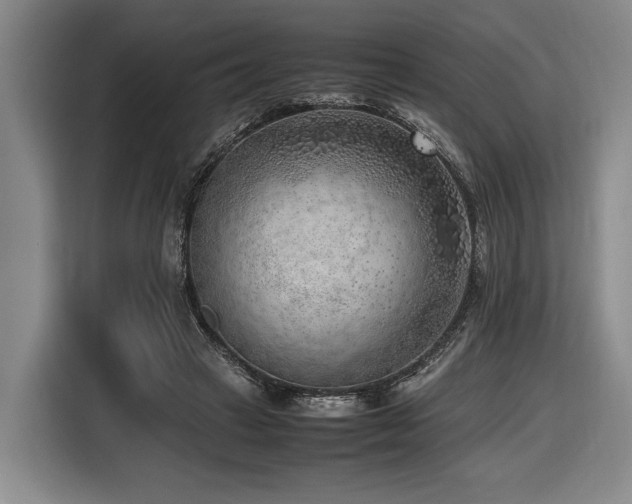 X0000116620449200912111159