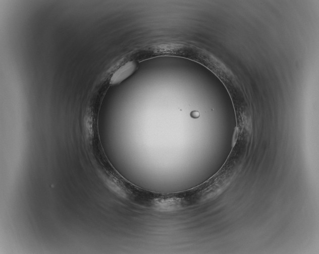 X0000116620452200912111159