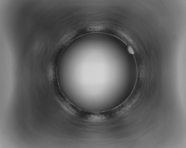 X0000116620455200912111159