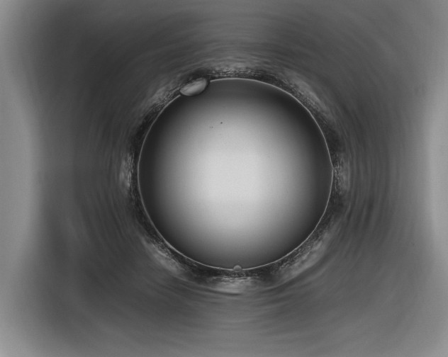 X0000116620458200912111200