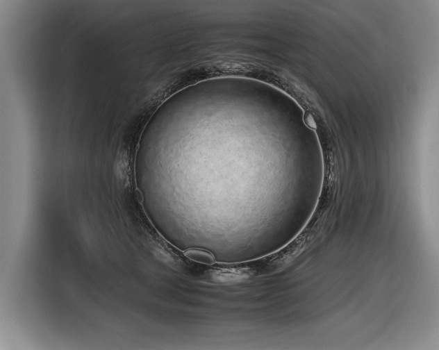 X0000116620465200912111200
