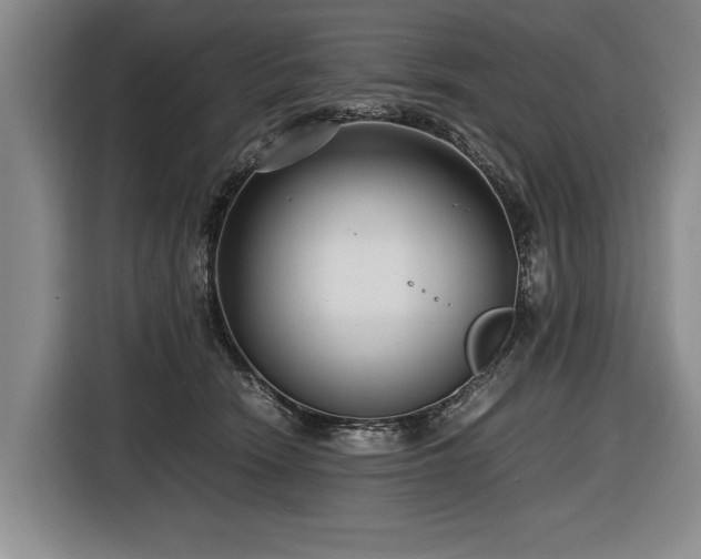 X0000116620466200912111200