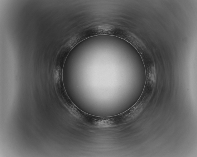 X0000116620468200912111200