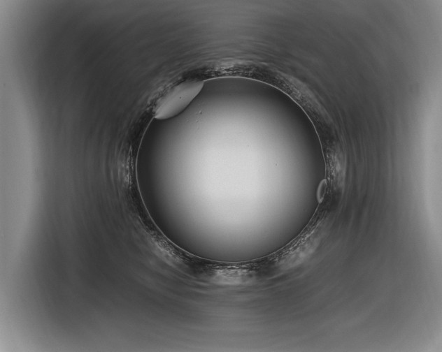 X0000116620470200912111200