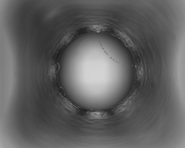 X0000116620473200912111200